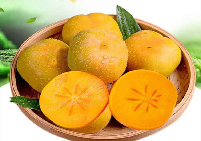 一部手机游云南