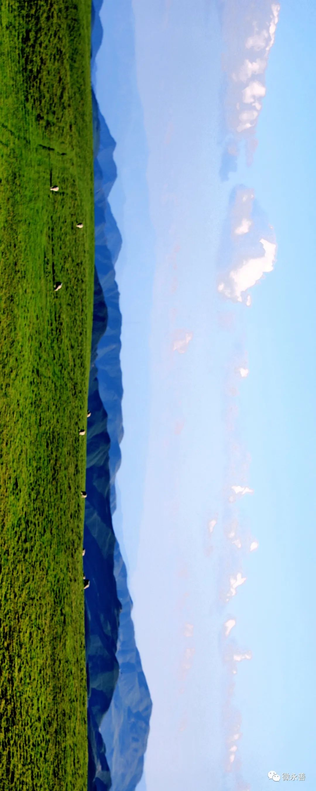 昭通日报