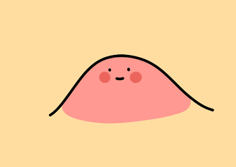 昆明市西山区发布