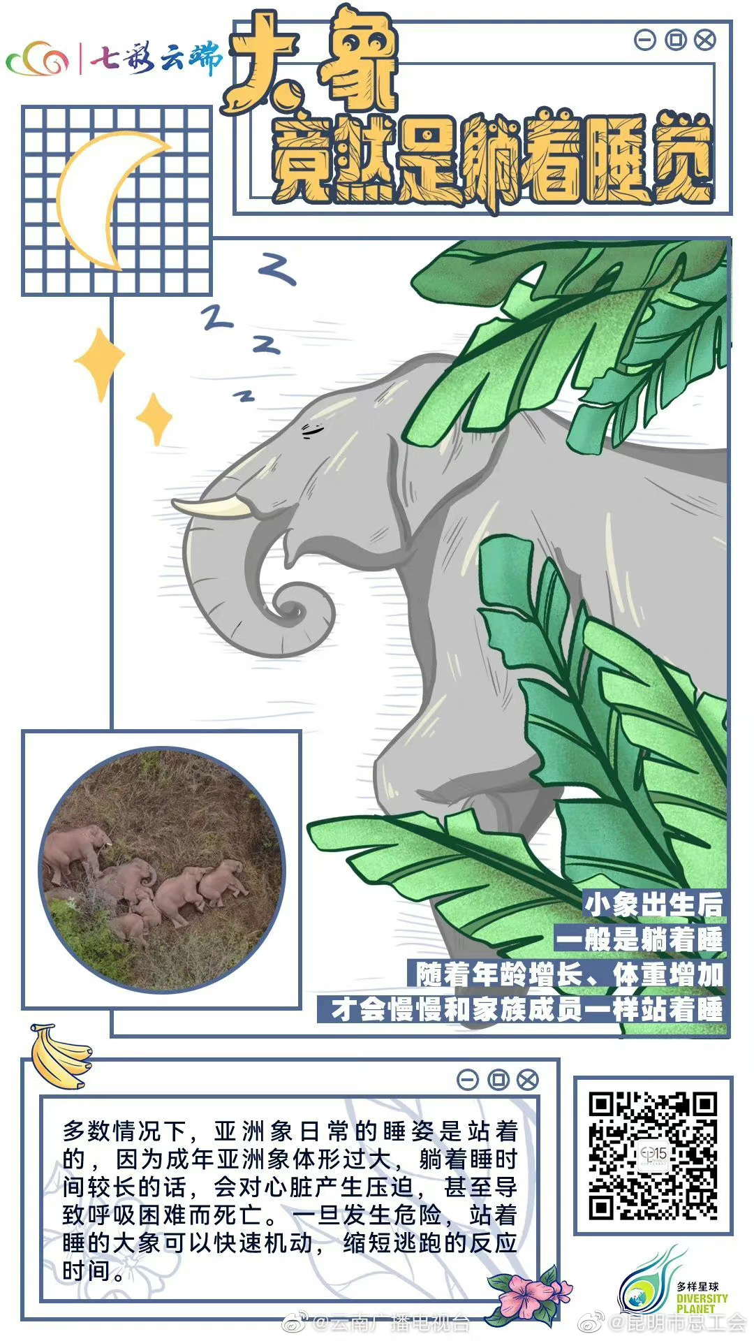 这是一条关于怎么睡最有爱的推送！