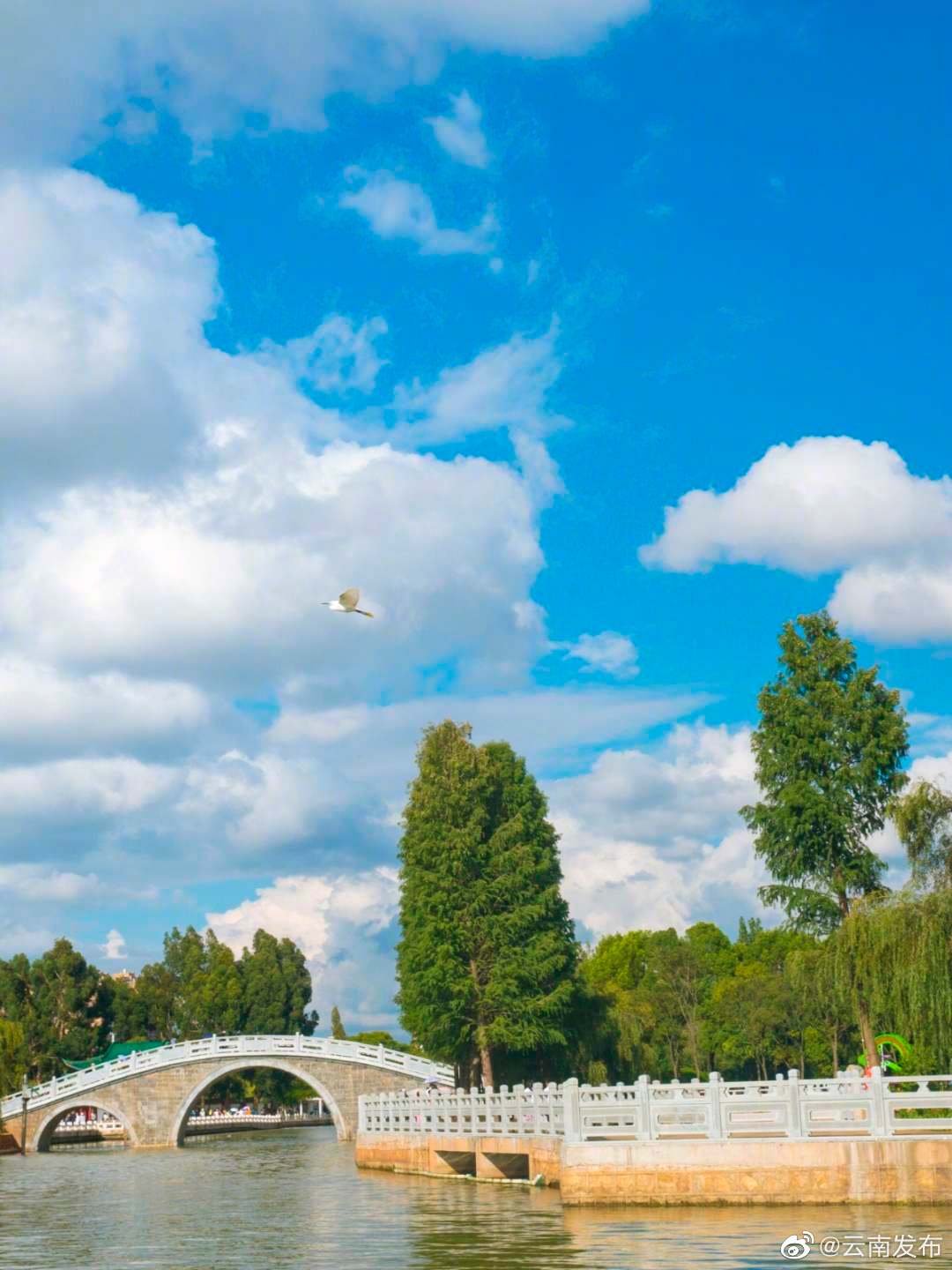 “云南发布”微博