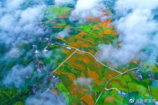 “云南发布”微博