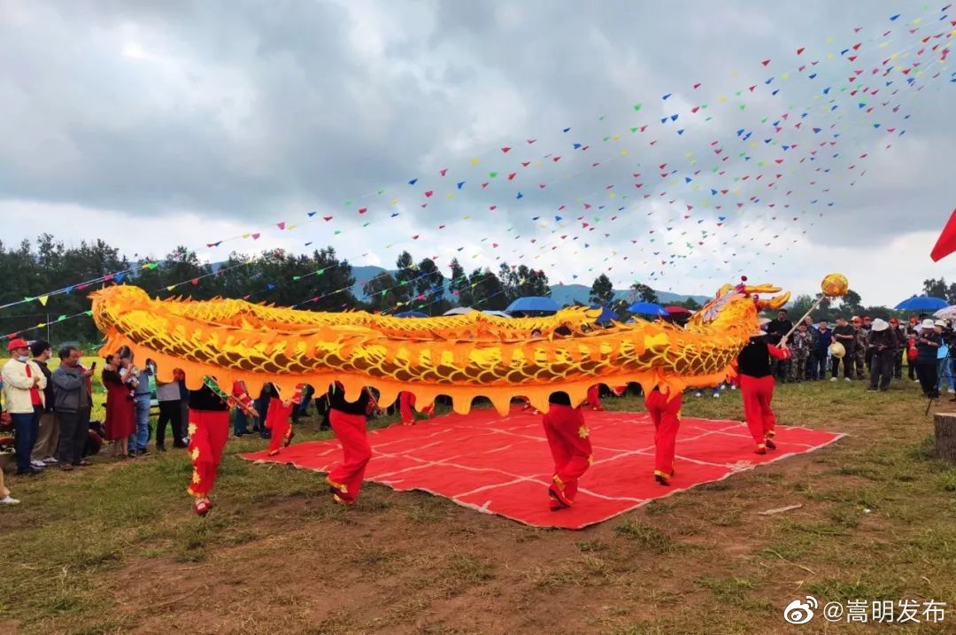 嵩明发布