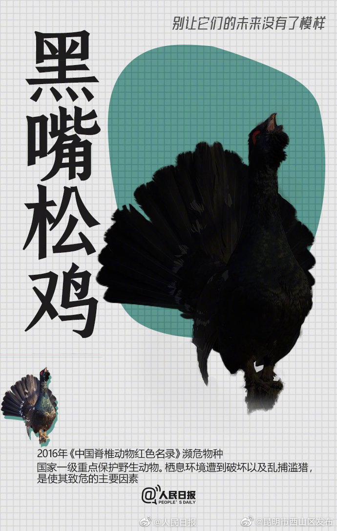 昆明市西山区发布