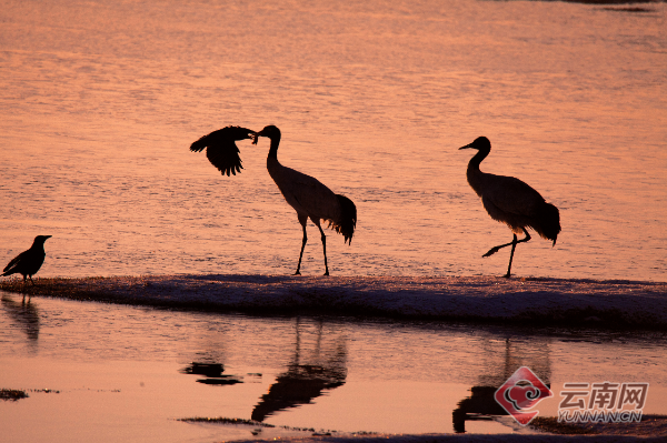 昆明市旅游监察支队
