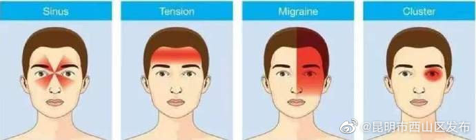 昆明市西山区发布