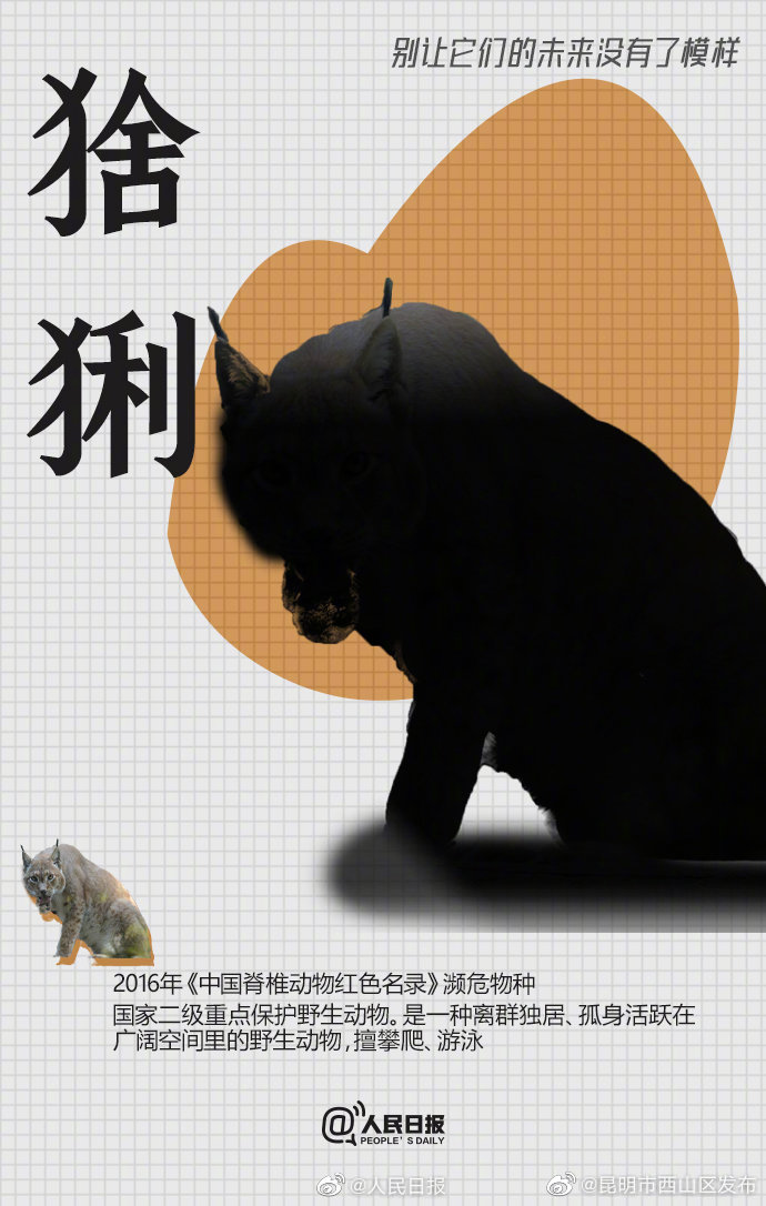 昆明市西山区发布