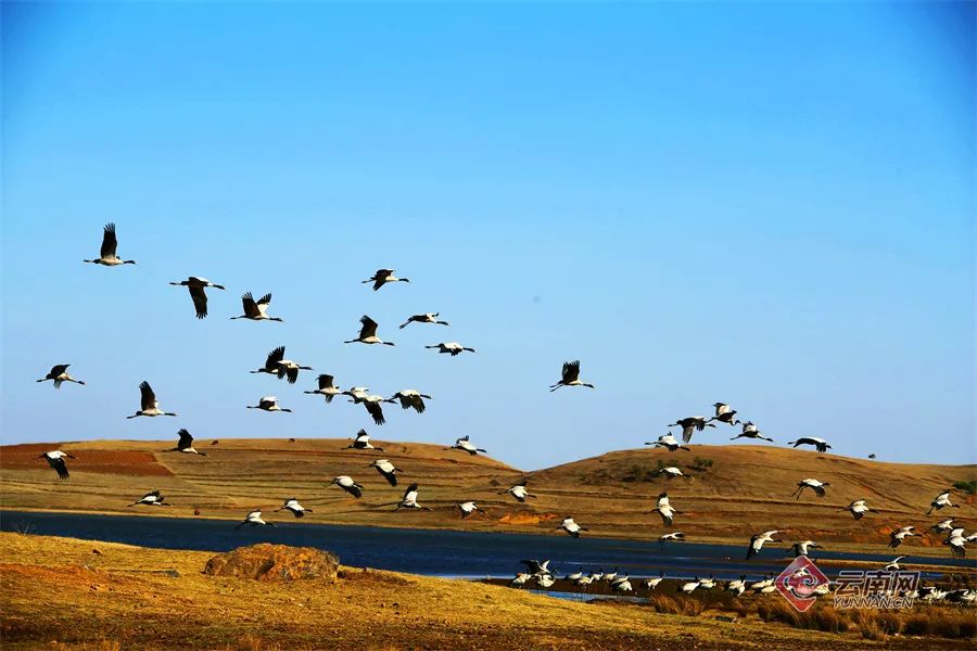 昆明市旅游监察支队