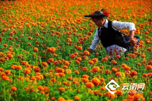 昆明市旅游监察支队