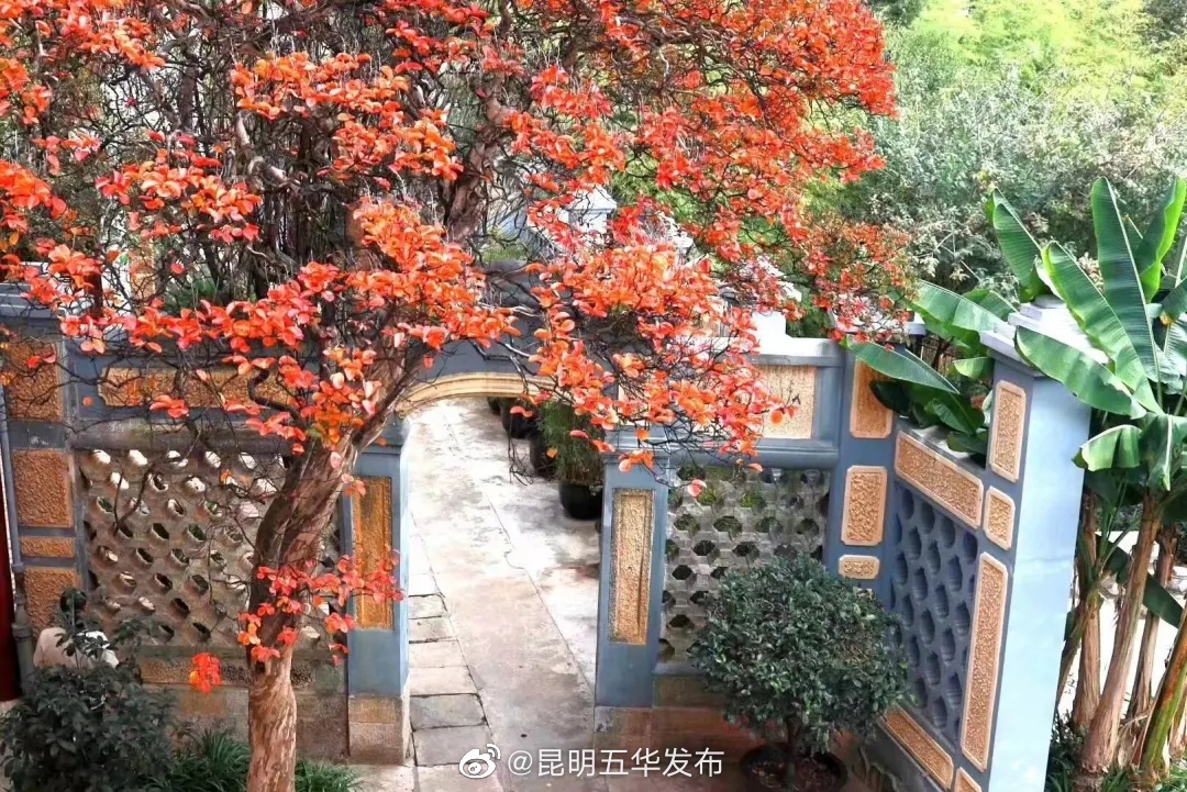 “昆明五华发布”微博
