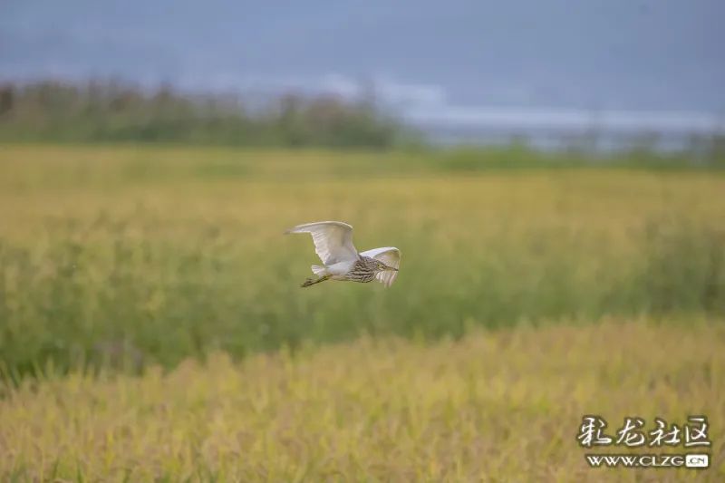 昆明生态环境