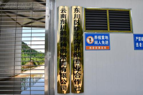 东川发布(微信)
