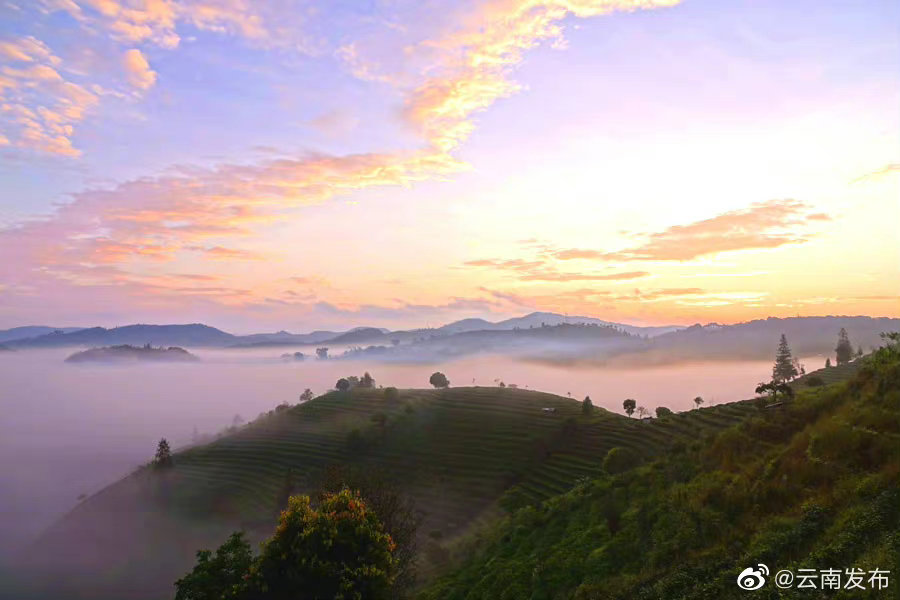 “云南发布”微博