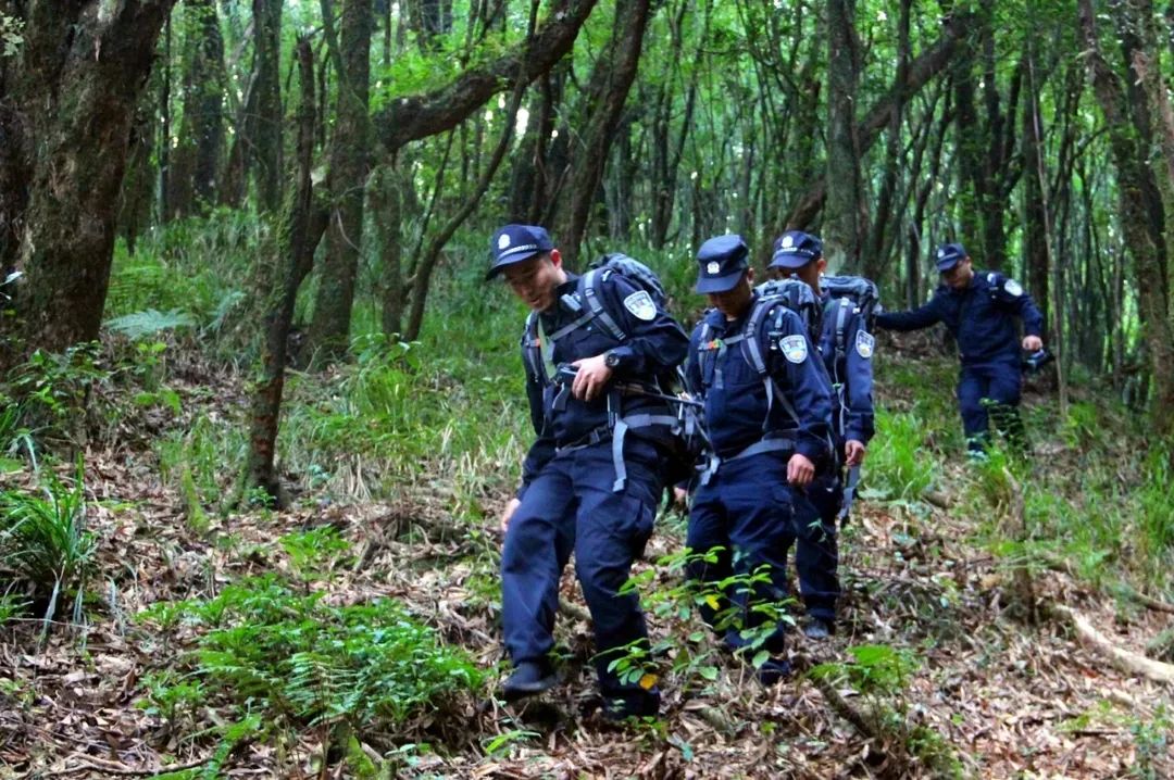 保山新闻网