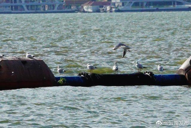 “云南发布”微博