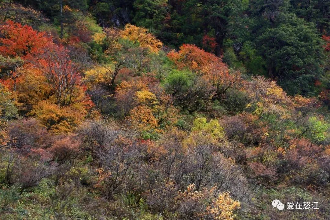 昆明市旅游监察支队