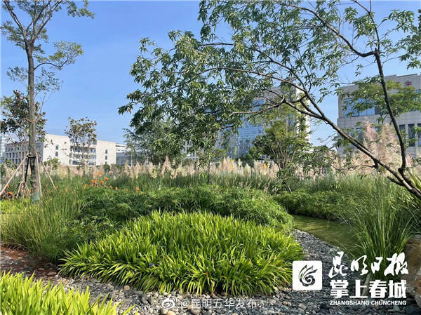 “昆明五华发布”微博