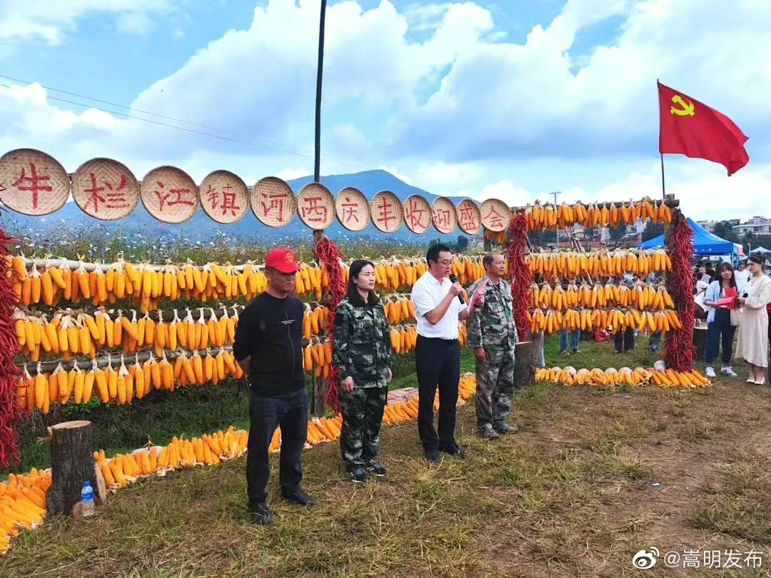 嵩明发布