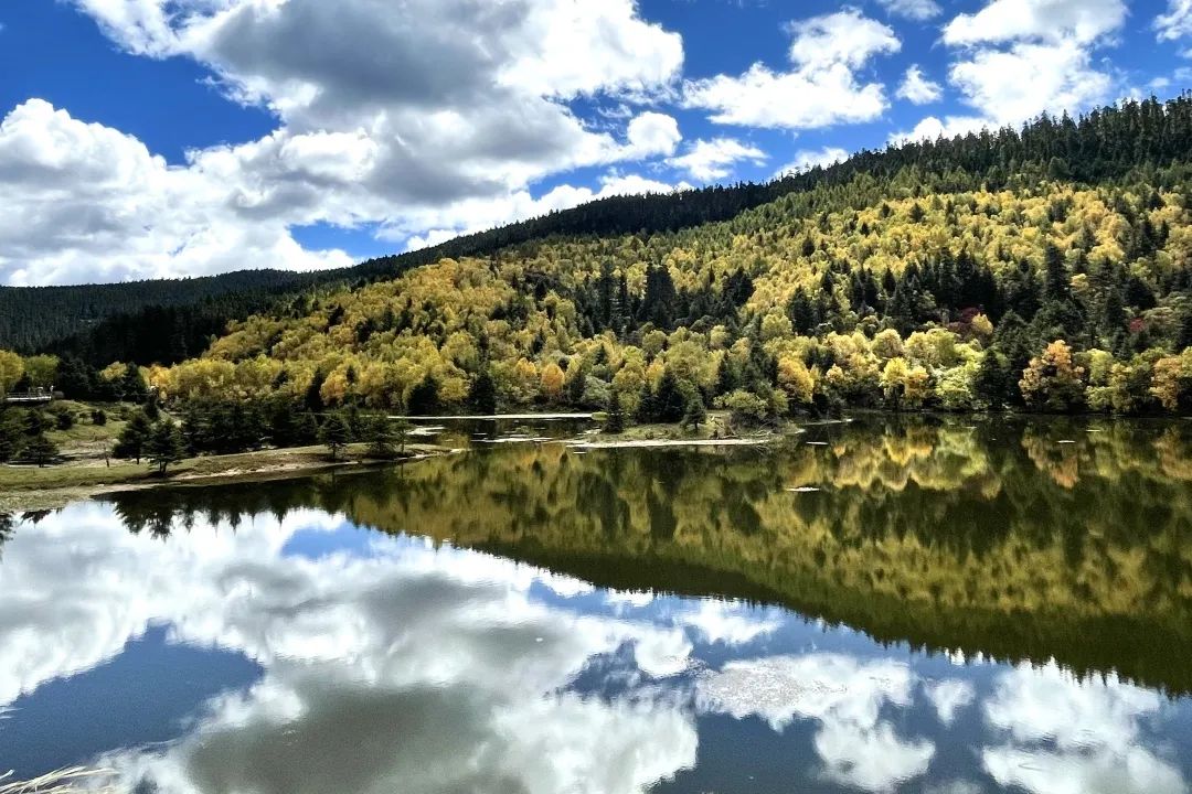 昆明市旅游监察支队