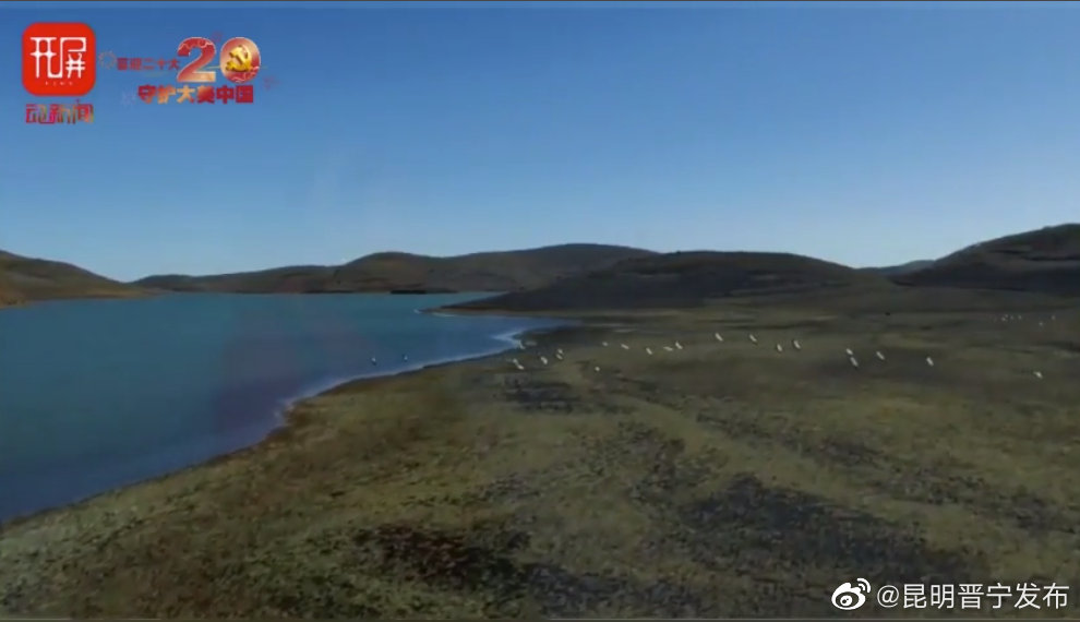 高原“护鹤人”：婆媳两代喂黑颈鹤30年，能吹口哨与鹤“聊天”