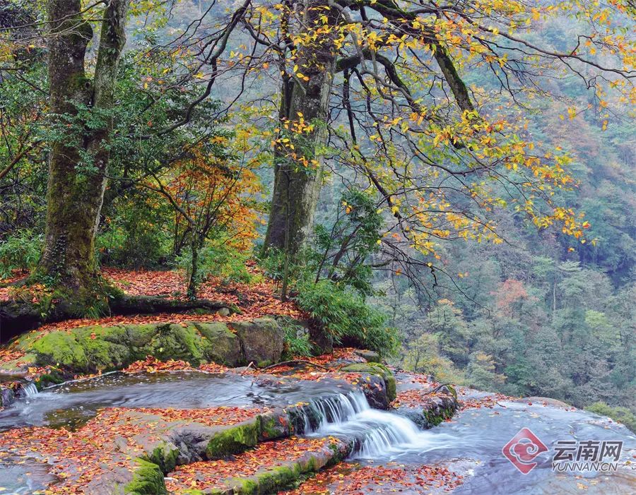昆明市旅游监察支队