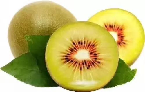 一部手机游云南