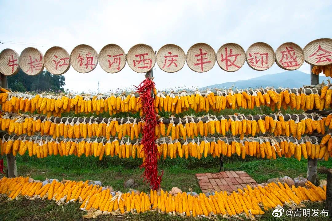 嵩明发布