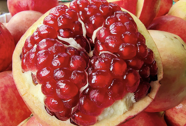 一部手机游云南