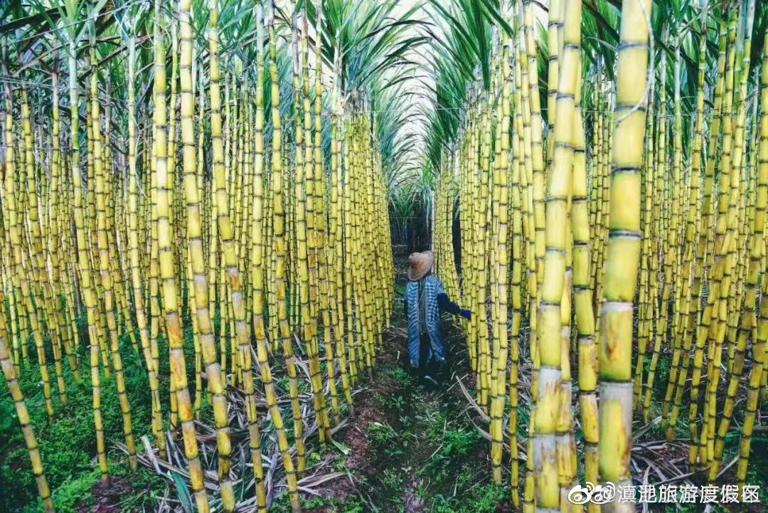 滇池旅游度假区