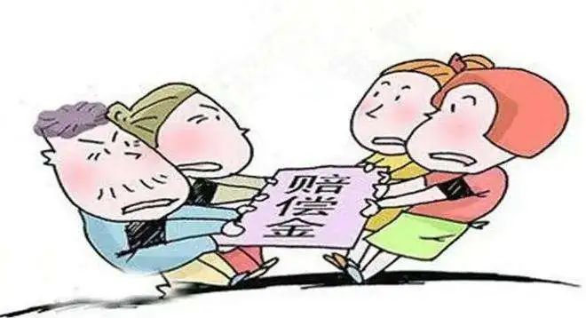 云南法制报