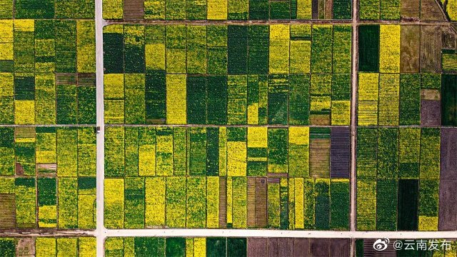 “云南发布”微博