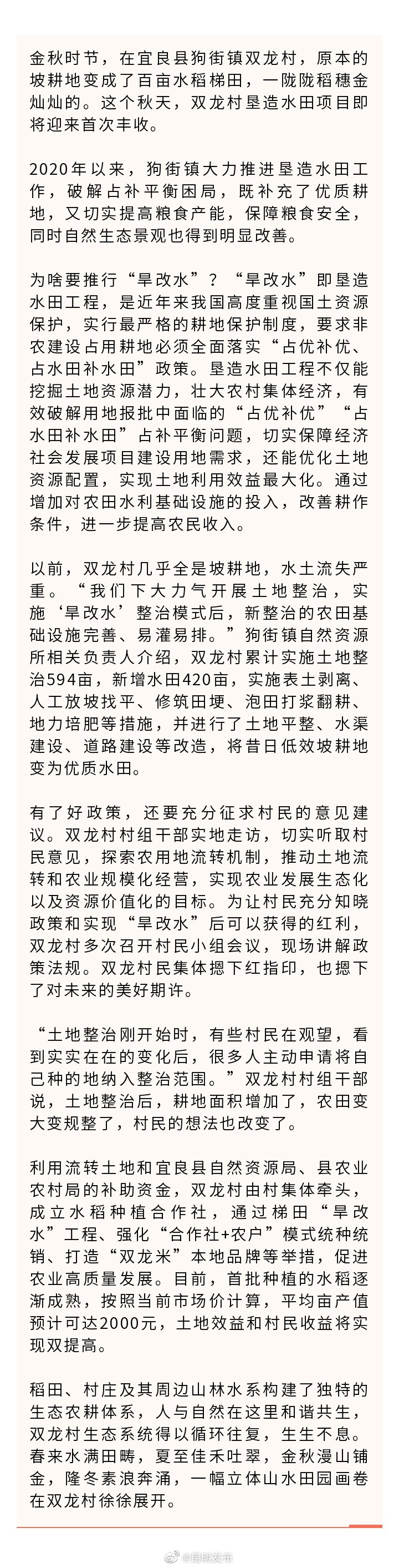 “旱改水”种稻 改出田园好“丰”景