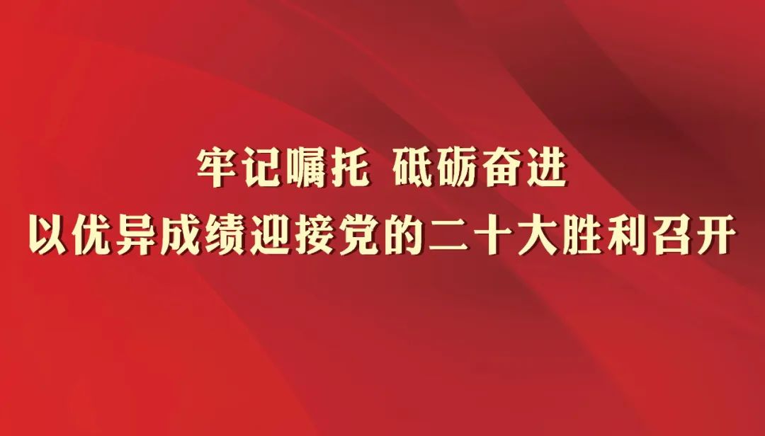 微观盘龙