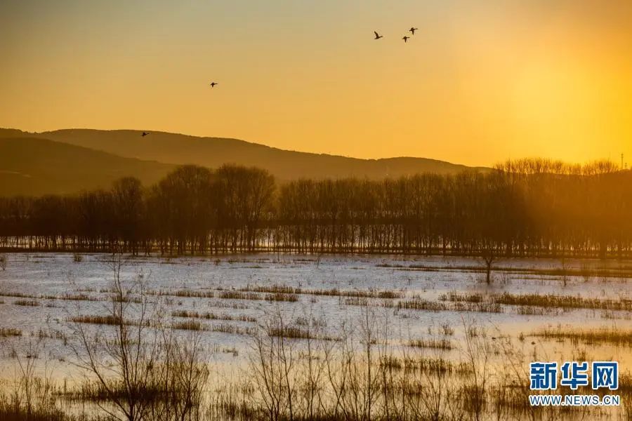 昆明市旅游监察支队