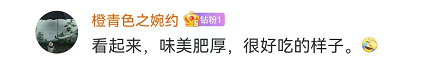 云南广播电视台