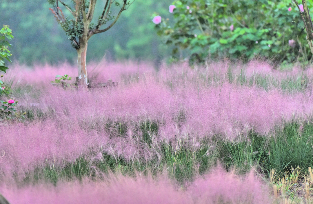 昆明市旅游监察支队