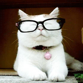 昆明市西山区发布