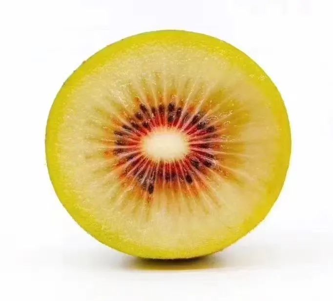 一部手机游云南