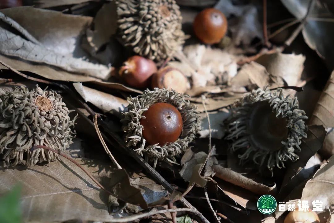 云南野生动物园
