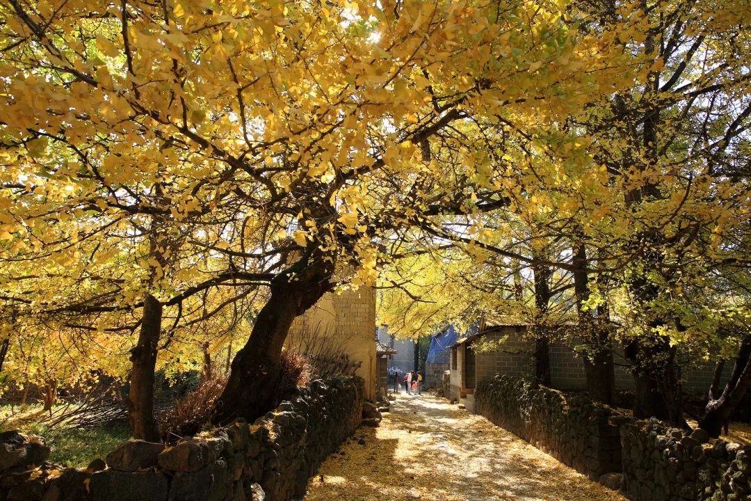 昆明市旅游监察支队