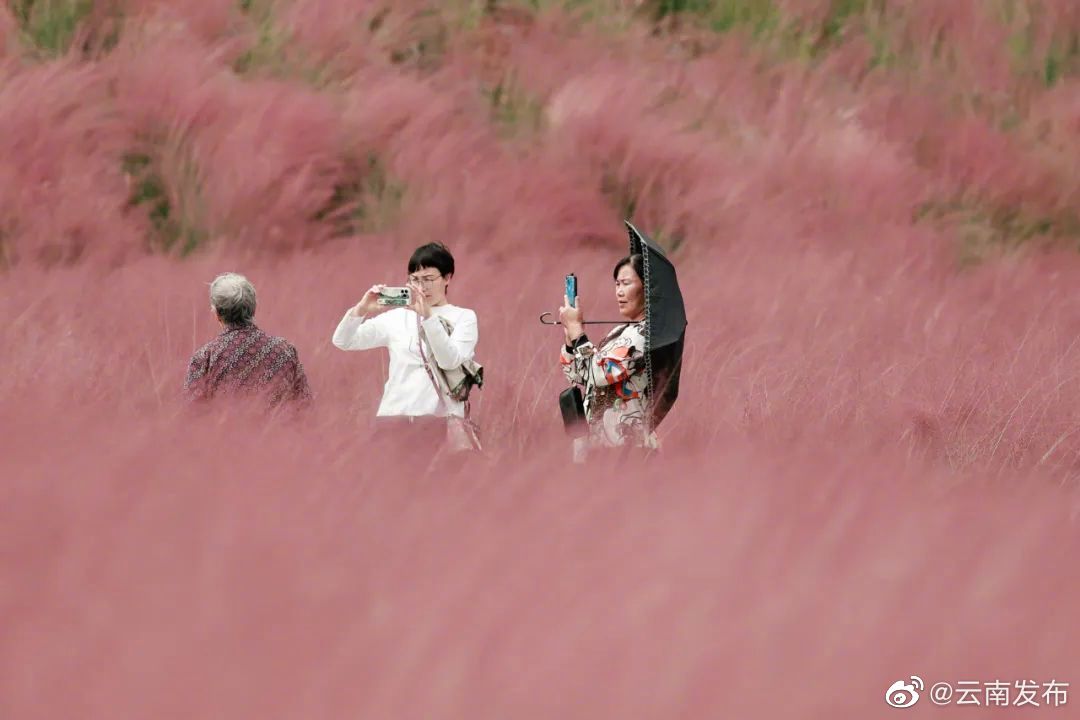 “云南发布”微博