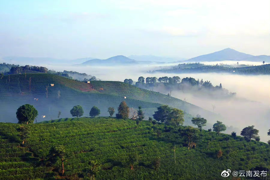 “云南发布”微博