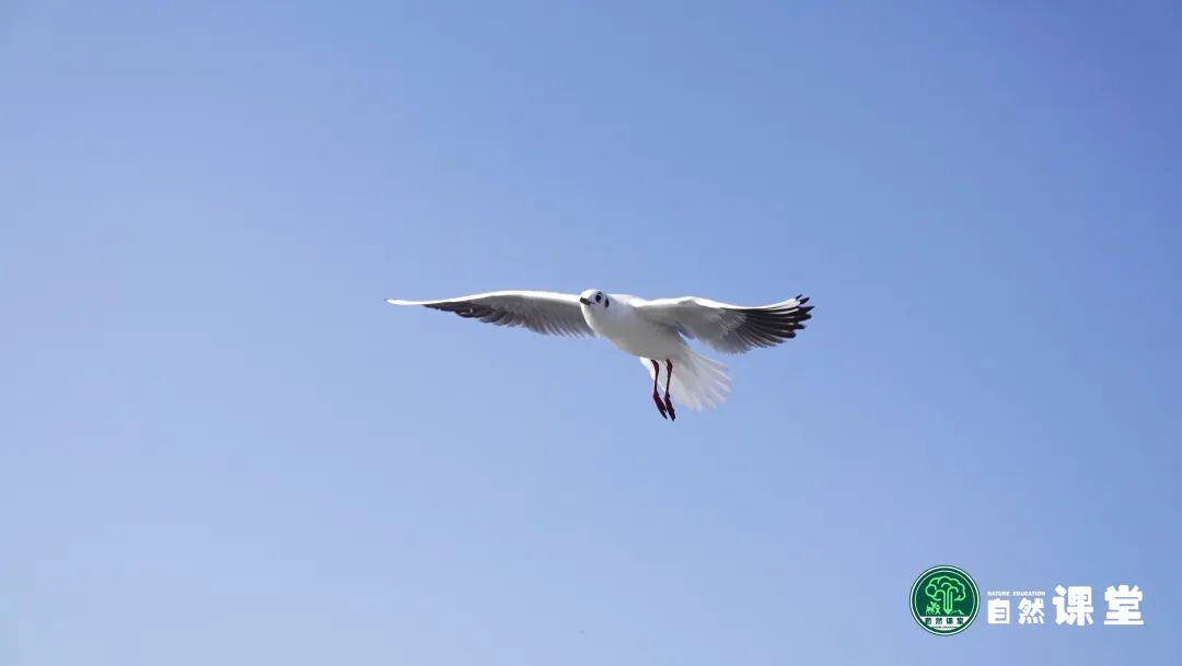 云南野生动物园
