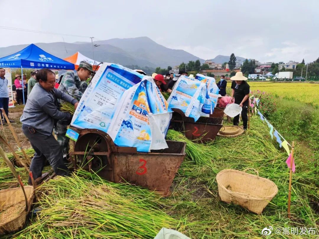 嵩明发布