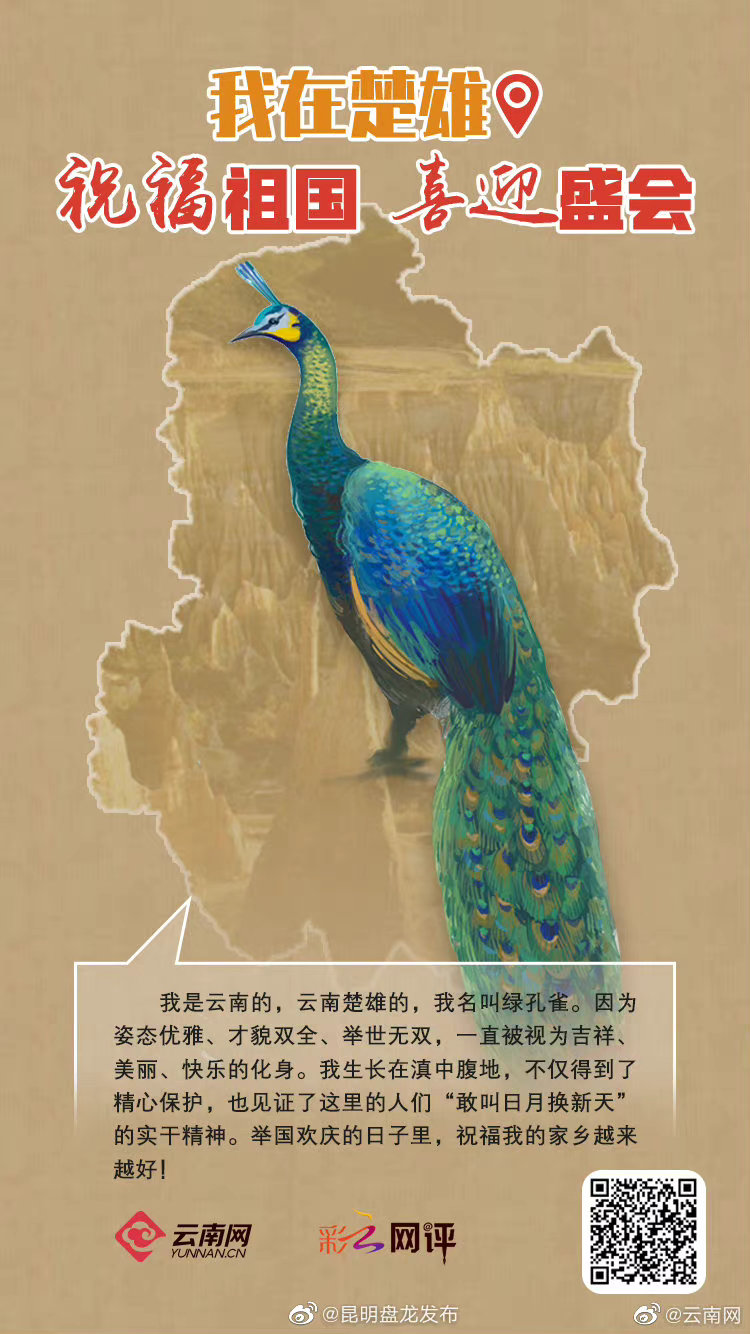 翩翩起舞 绿孔雀祝家乡更美好