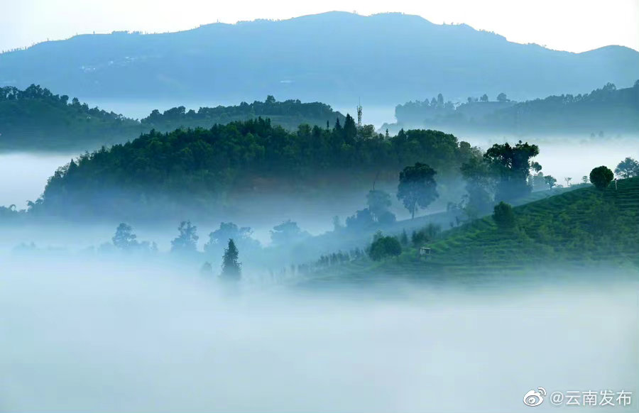 “云南发布”微博