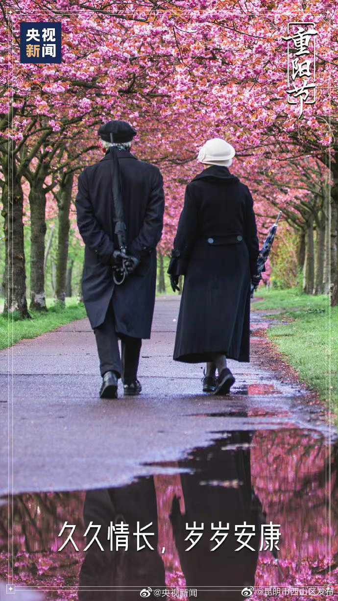 昆明市西山区发布