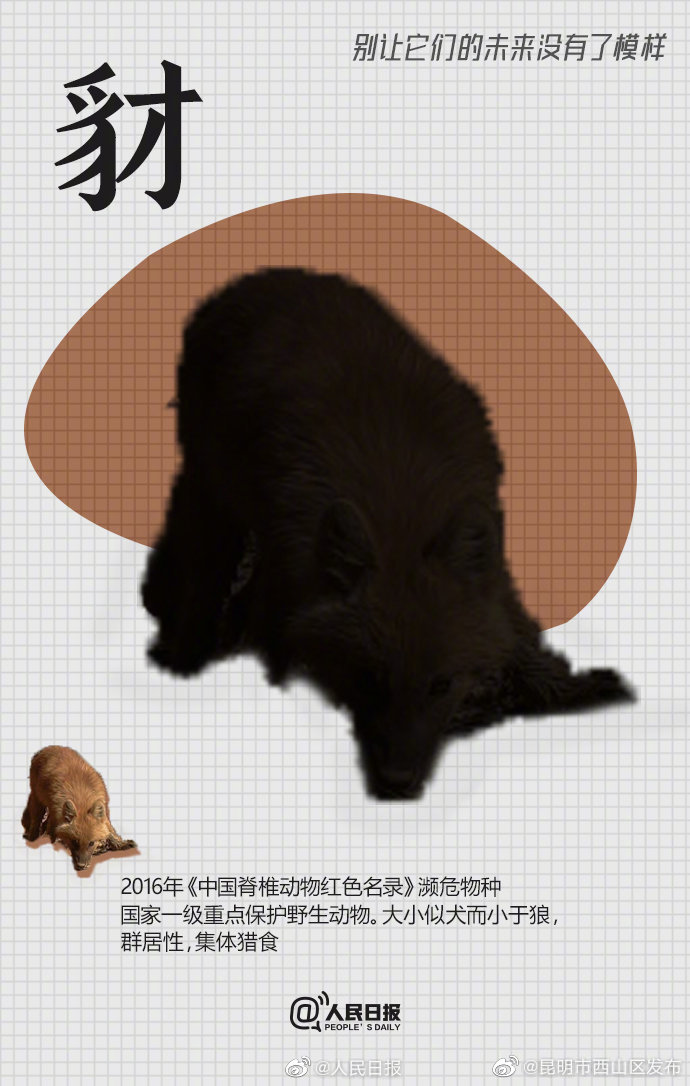 昆明市西山区发布