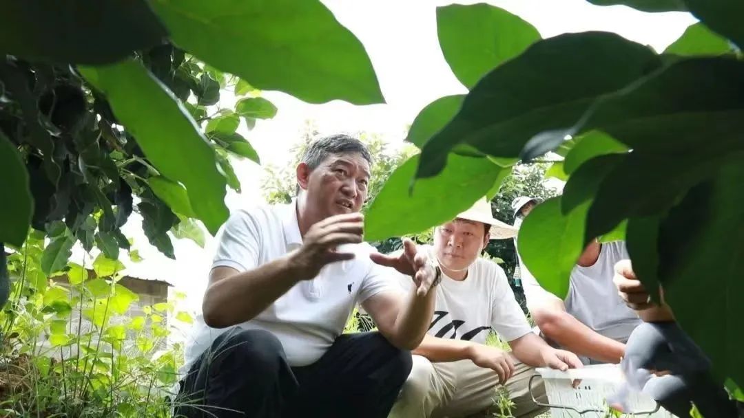 保山新闻网