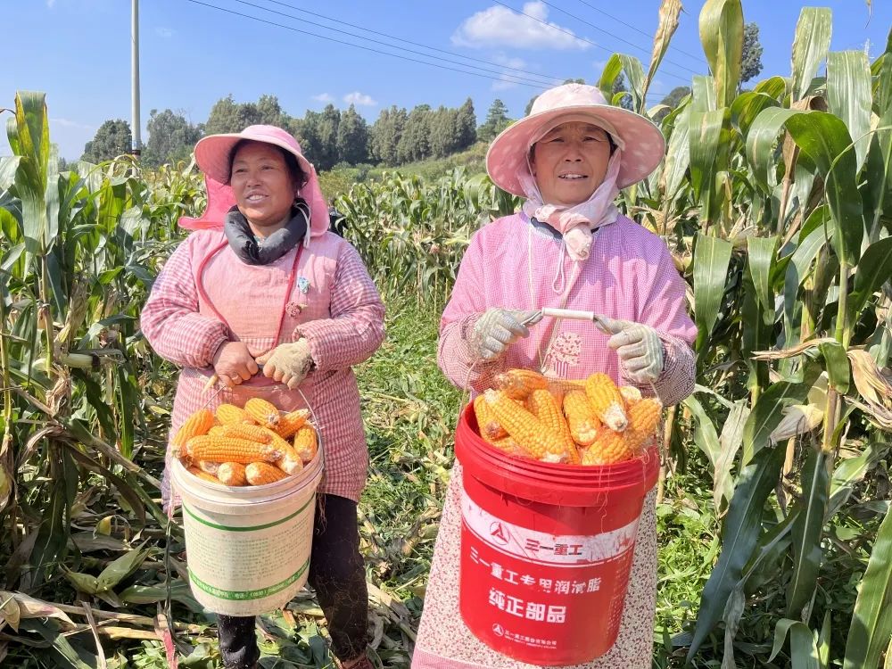 玉溪发布